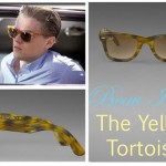 yellow-tortoise